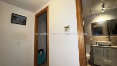 Piso en Santa Margalida photo 21