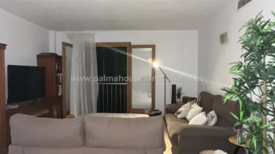 Apartment in Santa Margalida photo 4