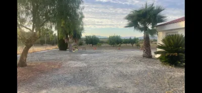 Rustic Finca in Centro photo 12