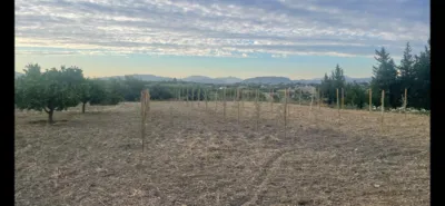 Rustic Finca in Centro photo 15