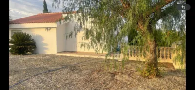 Rustic Finca in Centro photo 19