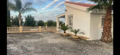 Rustic Finca in Centro photo 6