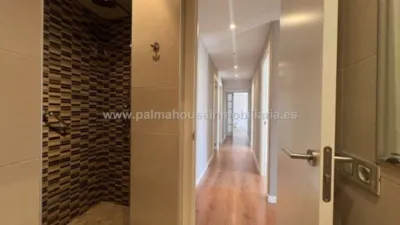 Apartment in El Terreno photo 26