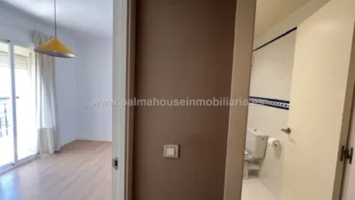 Apartment in El Terreno photo 29