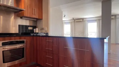 Apartment in El Terreno photo 8