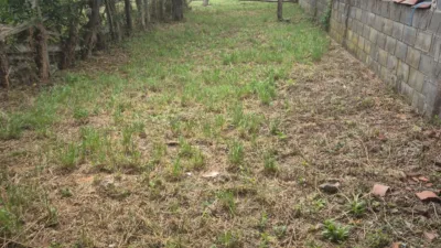 House in Bezanes photo 30