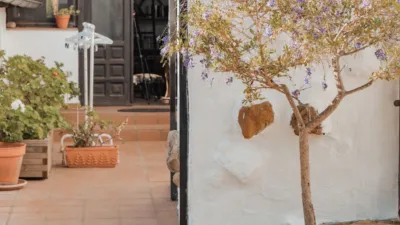 Rustic Finca on Calle El Cuarton photo 35