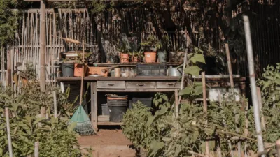 Rustic Finca on Calle El Cuarton photo 51