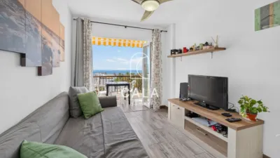 Apartment on Avenida Santiago Puig photo 5