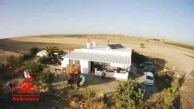 Rustic Finca in Lebrija photo 17