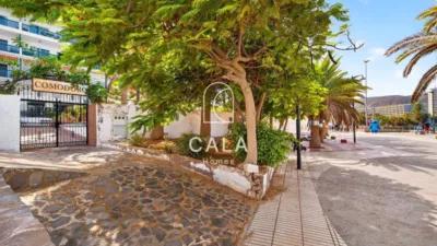 Apartment on Avenida Juan Carlos I photo 25