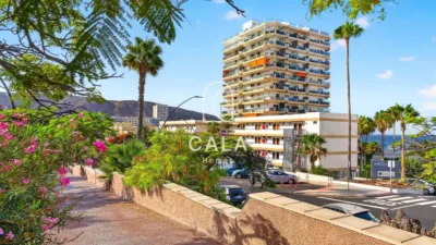 Apartment on Avenida Juan Carlos I photo 26