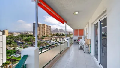 Apartment on Avenida Juan Carlos I photo 4