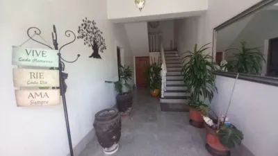 Apartment in Vícar photo 4