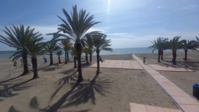 Piso en Planta Baja en Gran Alacant photo 16