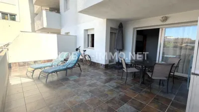 Apartment in Santa Margarida photo 10
