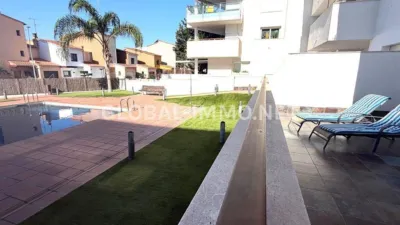 Apartment in Santa Margarida photo 4