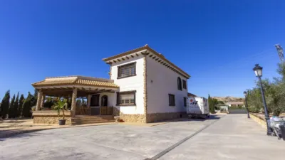 Casa – Elx - Elche - Vista 3