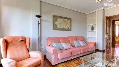 Piso en venta en Calle de Federico Baráibar, Desemparados-Judimendi-Santa Lucía (Vitoria - Gasteiz) de 350.000 €