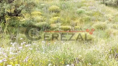 Finca rústica en , Zona Rural, Montaña photo 2