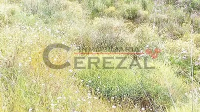 Finca rústica en , Zona Rural, Montaña photo 8
