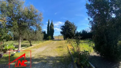 Rustic farm in Las Cabezas de San Juan photo 4