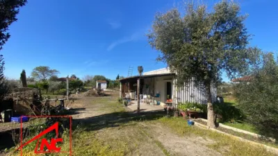 Rustic farm in Las Cabezas de San Juan photo 5