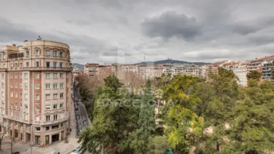 Piso en alquiler en Turo Park - Imagen 7