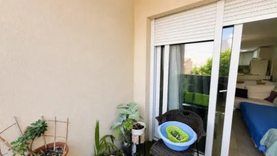 Pis – Torrevieja - Vista 4