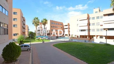 Apartment on Calle de los Alimoches photo 35