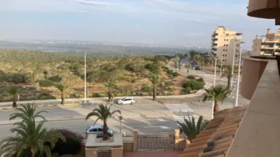 Pis – Elx - Elche - Vista 2
