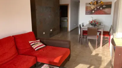 Pis – Elx - Elche - Vista 4