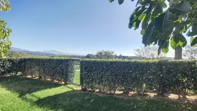 Apartment in Casares Area photo 15