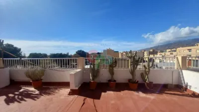 Apartment in Vícar photo 32