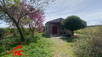 Rustic Finca in El Cubo photo 9