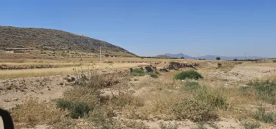 Chalet in Jumilla photo 12