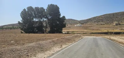 Chalet in Jumilla photo 13