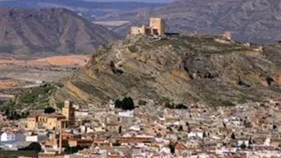 Chalet in Jumilla photo 20