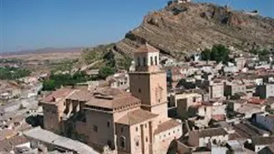 Chalet in Jumilla photo 21