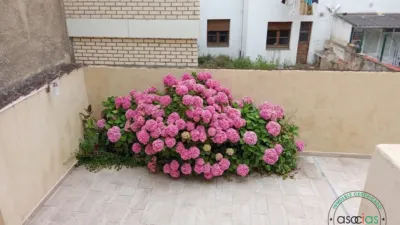 Piso en alquiler en Calle de Santo Domingo, 8, Ceares-Jesuitas (Distrito Este. Gijón) de 1.350 €<span>/mes</span>