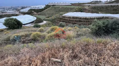 Rustic finca in Campo, El Campo, Rural Zone, Village photo 20