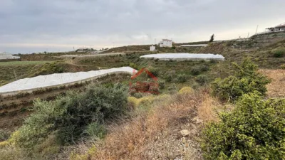 Rustic finca in Campo, El Campo, Rural Zone, Village photo 21