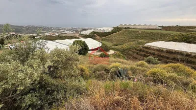 Rustic finca in Campo, El Campo, Rural Zone, Village photo 23