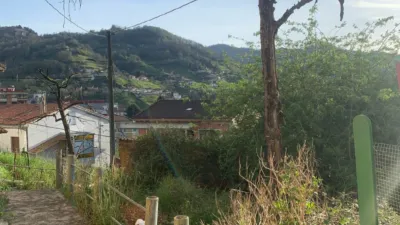 Apartment in El Entrego photo 8