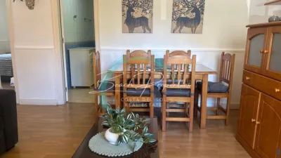 Apartment in , Beach Area photo 3