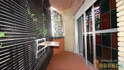 Apartment in Isla Chica photo 5