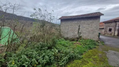 House on Coo-Pereda Street, No. 71 photo 38