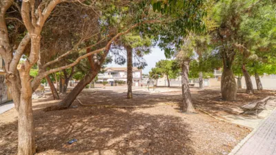 Apartment in Torrevieja photo 42