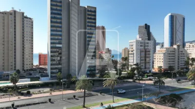 Apartment in Calpe Playa Poniente photo 18