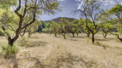 Rustic Finca in La Vila-Centre photo 14